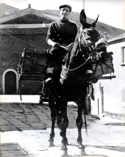 San Marco Argentano  Santa Maria 1964