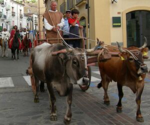 corteo storico